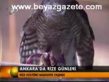 Ankara'da Rize Günleri