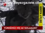 Yüreğiniz Hiç Mi Sızlamadı?