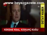 Kekeme Kral, Kıskanç Kuğu