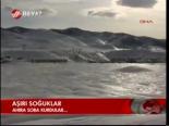 Aşırı Soğuklar