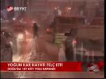 Yoğun Kar Hayatı Felç Etti