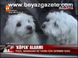 Köpek Alarmı