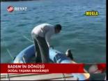 Badem'in Dönüşü