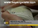 Meclis'te Bu Hafta