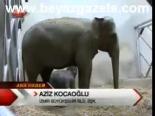 110 Kiloluk Nur Topu!
