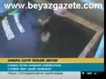 Avrupa Kayıp İkizleri Arıyor