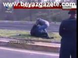 3 Polis Hakkında İnceleme!