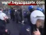 Şehirde Orman Yasası