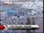 Asıl Felaket Tsunami