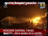Nükleer Santral Yandı