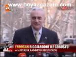 Erdoğan Ricciardone İle Görüştü