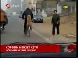 Köpeğin Bisiklet Keyfi