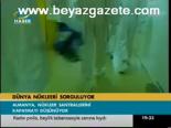 Dünya Nükleeri Sorguluyor