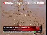 Bodrum'da Korkutan Olay