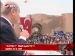 Devlet Hassasiyeti