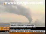 Japonya'da Nükleer Endişe