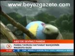 Abd'de Sevimli Panda