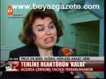 Tehlike Reaktörün Kalbi