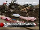 Tsunami, Tüm Canlıları Vurdu