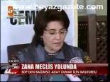 Zana Meclis Yolunda