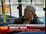 Amansız Emekli