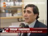 Organ Fabrikası