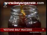 Kestane Balı Mucizesi