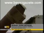 Buğday Ekimi Artacak