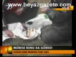 Mobese Bunu Da Gördü