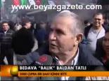 Bedava Balık Baldan Tatlı