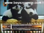 Pandaların Oyunu