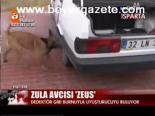 Zula Avcısı Zeus