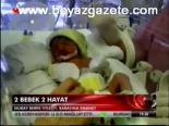 2 Bebek 2 Hayat
