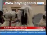 Slovenya'da Bahar Şenliği