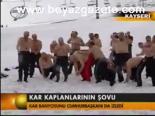 Kar Kaplanlarının Şovu