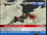 Kanada'da Fok Katliamı