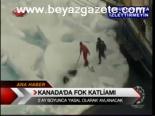 Kanada'da Fok Katliamı