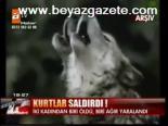 Kurtlar Saldırdı!