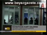 Kütahya'da Kurt Saldırısı