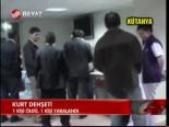 Kurt Dehşeti