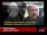 Uçan Baraka