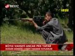 Böyle Vahşeti Ancak Pkk Yapar