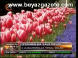 İstanbul'da Lale Devri