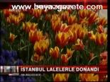 İstanbul Lalelerle Donandı