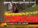 İstanbul'da Lale Zamanı