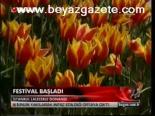 Lale Festivali Başladı