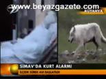 Simav'da Kurt Alarmı