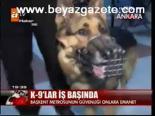 K-9'lar İş Başında