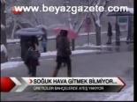 Soğuk Hava Gitmek Bilmiyor