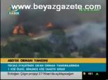 Abd'de Orman Yangını
